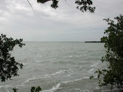 DSCN2480 (Large).JPG